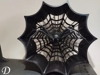 Suspended Spider