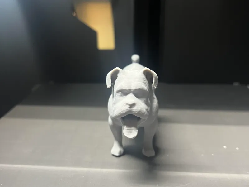 Tank Pup