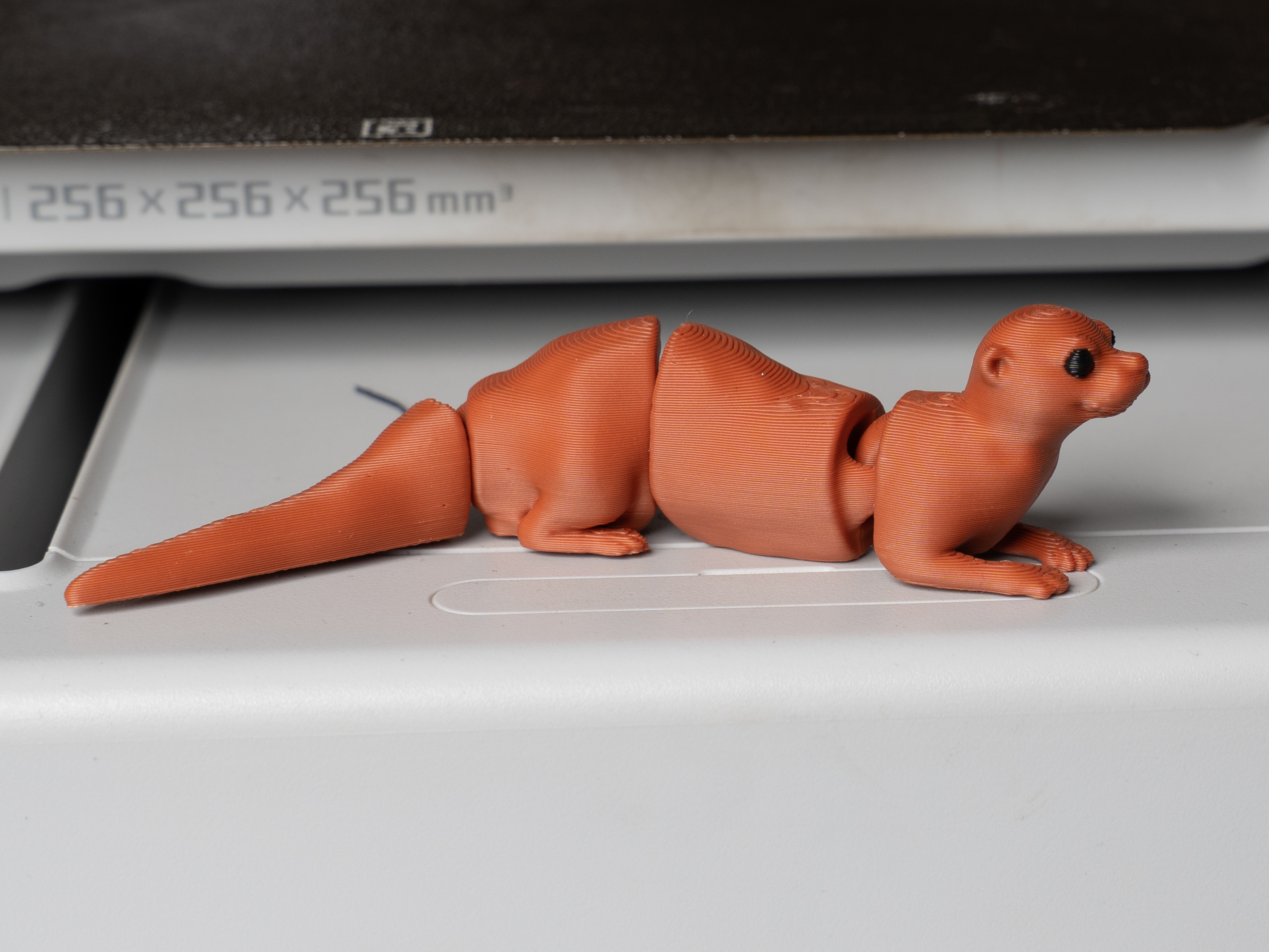 Miniatura 2 do modelo 3D Tiny Otter (Bald guy) | Articulated