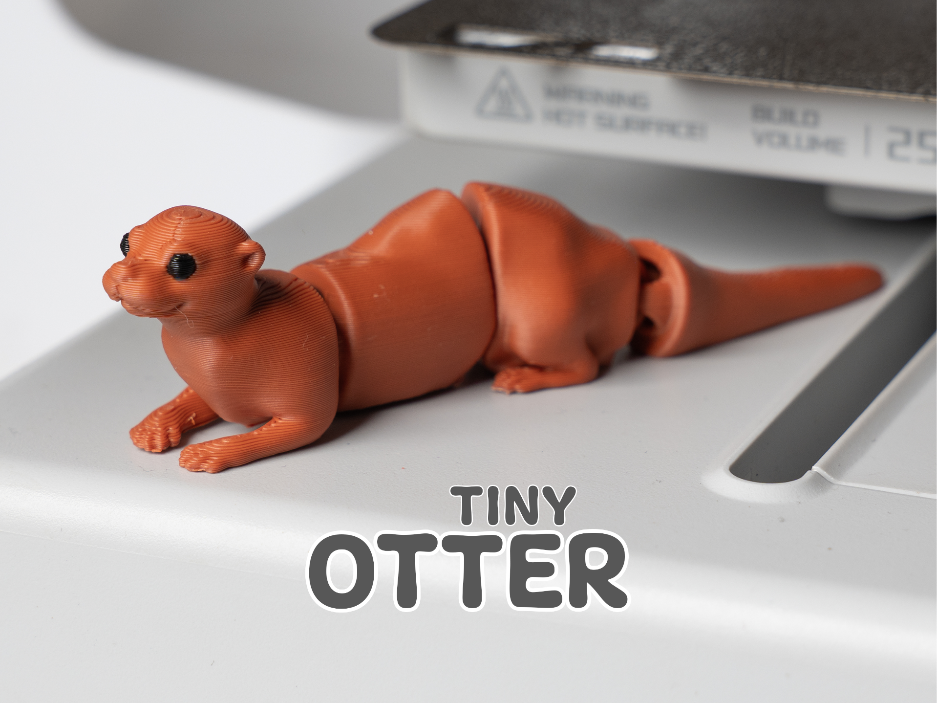 Tiny Otter (Bald guy) | Articulated