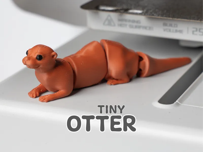 Tiny Otter (Bald guy) | Articulated