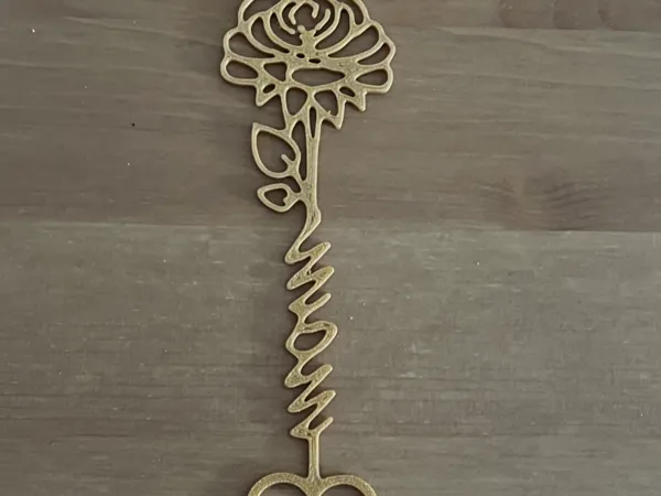 https://makerworld.bblmw.com/makerworld/model/USb97d79b32eea29/design/2025-03-24_367aea5faa55b.jpeg