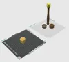 Standard Size Printers 