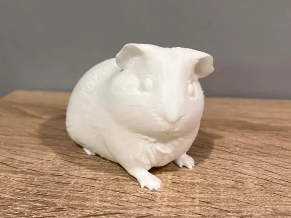 https://makerworld.bblmw.com/makerworld/model/USb982c4682b3bdf/design/863138cc165ec109.jpg