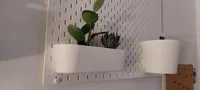 Version jardinière - 0.2mm layer, 4 walls, 8% infill