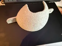 PLA Version