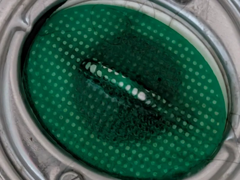 Drain net
