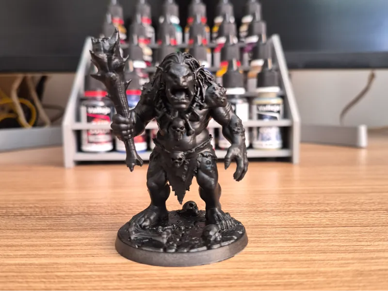 Troll dungeons and dragons DnD D&D + base 50 mm