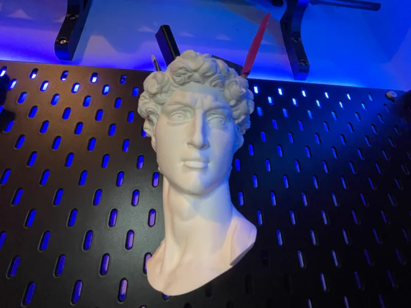 Michelangelo’s David’s head Flowerpot / pen holder