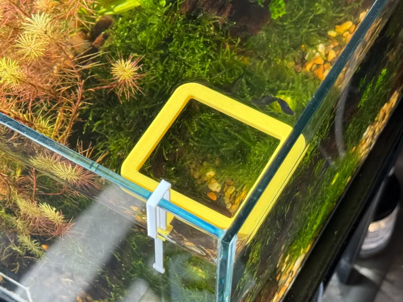 Aquarium Feeding Ring V2