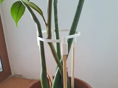 Chopsticks plant support 8 cm / 3 inch