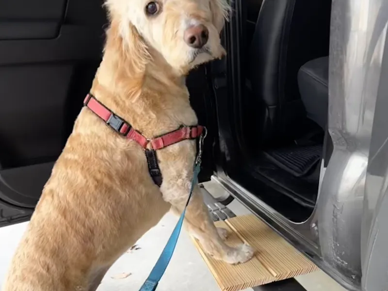 Dog Step for Gen 3 Toyota Tacoma Running Board