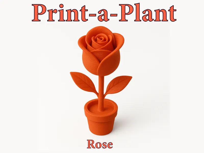 Print-a-Plant    Rose
