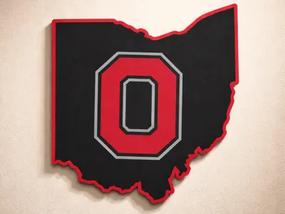 Ohio State Wall Hanger