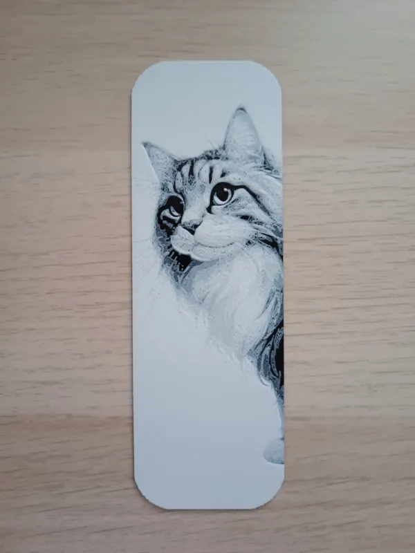 https://makerworld.bblmw.com/makerworld/model/USb9977b5bf1902c/design/2024-12-31_713c4c7688303.jpg