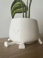 Jardinière au visage souriant — photo 3