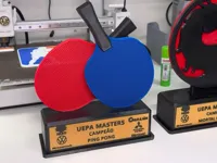 0.2mm layer, 2 walls, 30% infill