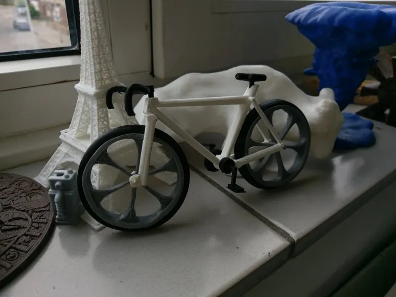bicycle race model