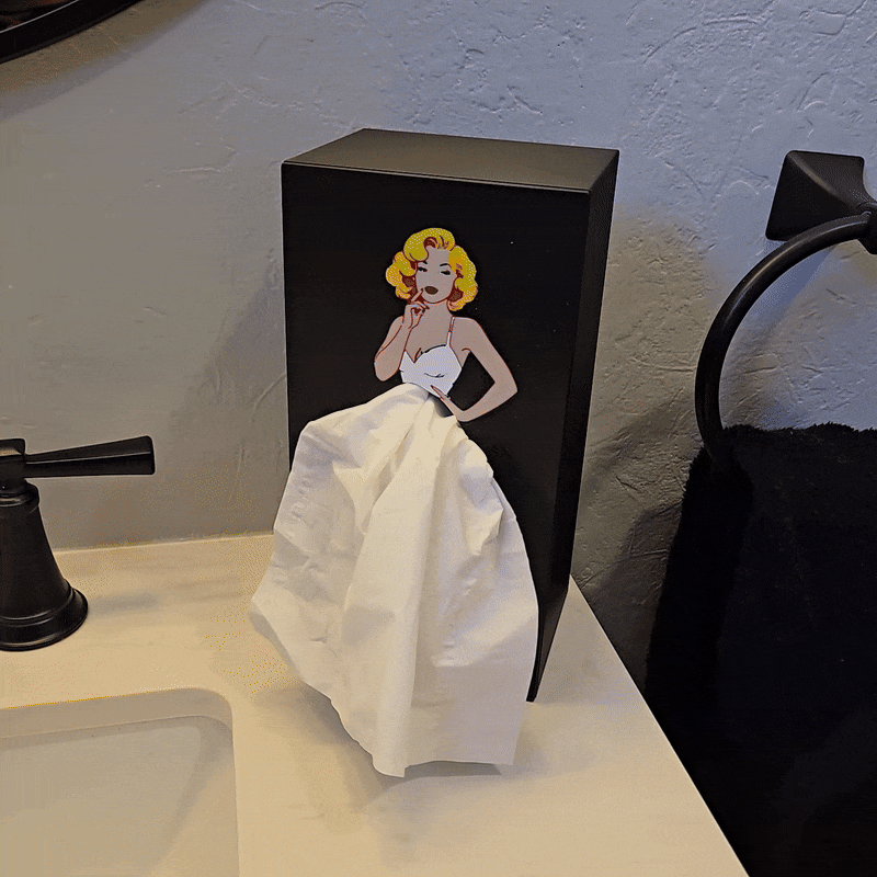 Retro Pin-Up ~ Kleenex Box Dispenser