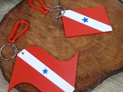keychain of the state of Pará