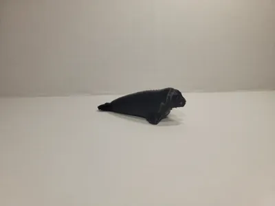 Squishy Seal