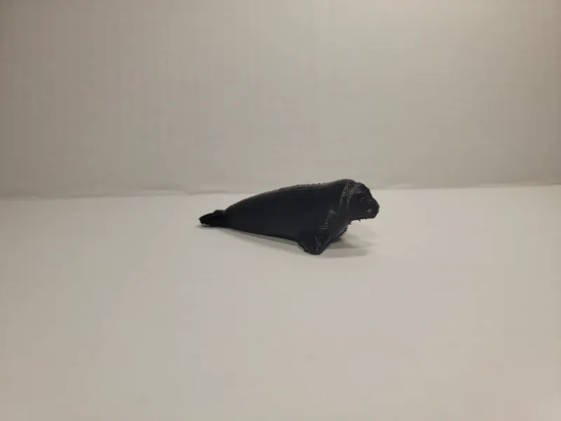 Squishy Seal