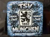 TSV 1860 Graffiti 100x100 0.08mm layer, 1 walls, 100% infill
