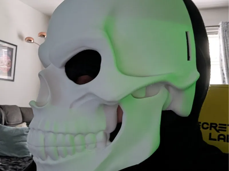 Skull mask Skeletor inspired