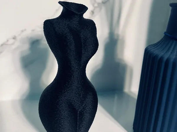 https://makerworld.bblmw.com/makerworld/model/USb9adbfb034838f/design/2025-02-16_932f28c2d581d.jpeg