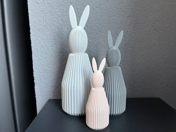 https://makerworld.bblmw.com/makerworld/model/USb9aee060afedc0/design/2026-01-07_0a0f35d9d76278.jpg