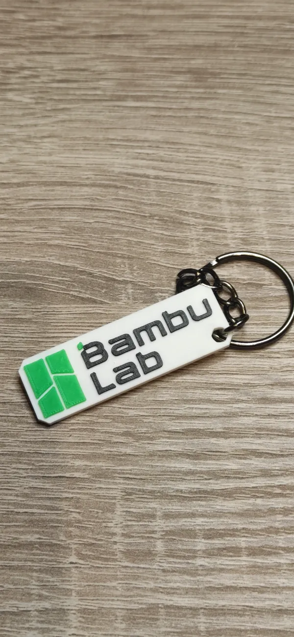 https://makerworld.bblmw.com/makerworld/model/USb9b6e0778e8c0a/design/2024-01-22_243d14ed38a47.jpg