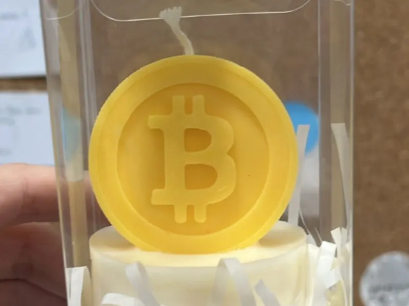 Bitcoin Silicon Mold