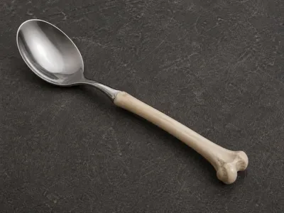 Bone Handle Spoon