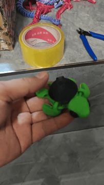 乌龟 转转 背锅侠