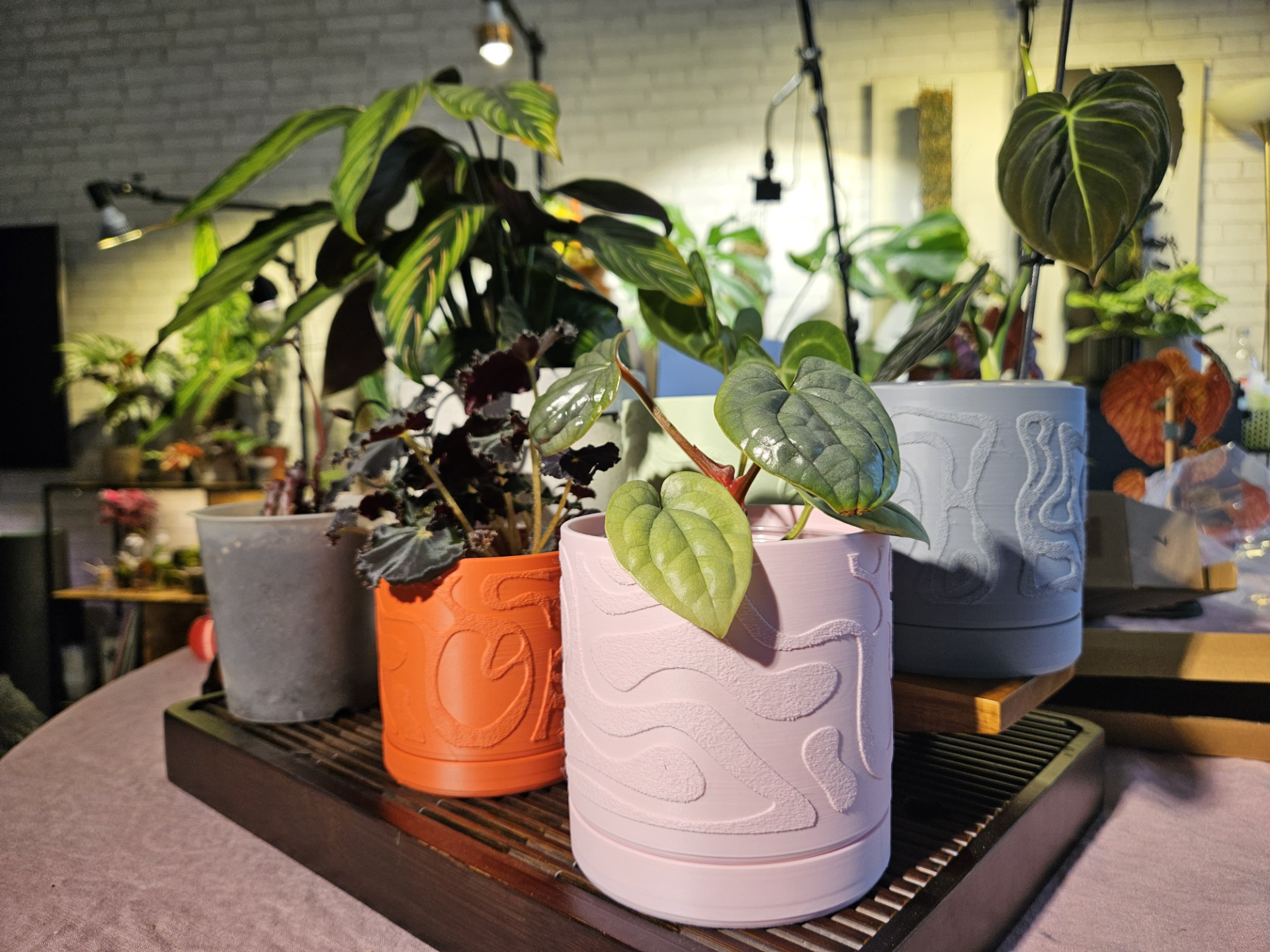 Fuzzy Liquid Pattern Planter + Plate - 3 Sizes!