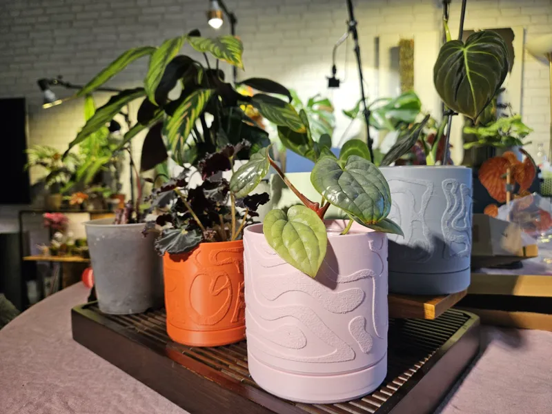 Fuzzy Liquid Pattern Planter + Plate - 3 Sizes!