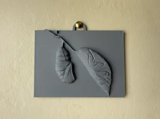 Monarch chrysalis