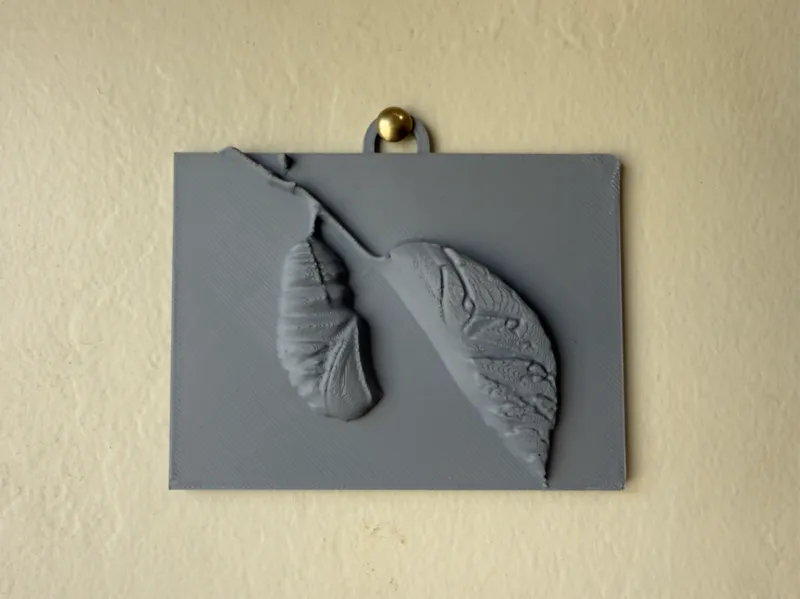 Monarch chrysalis