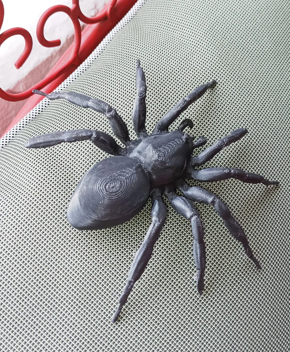 Spider - Free 3D Print Model - MakerWorld