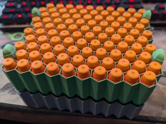 100 Short Dart Hex Storage