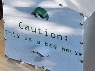 Bumblebee House