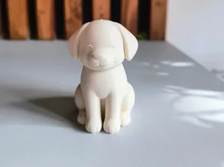 Cute happy dog