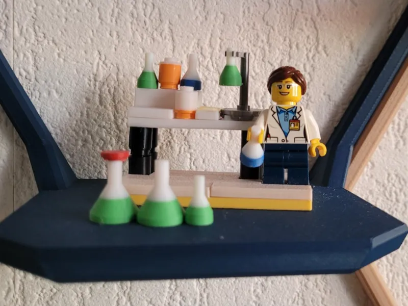 Erlenmeyer toys brick compatible