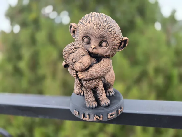 https://makerworld.bblmw.com/makerworld/model/USb9cb3add1897e5/design/3c01b52053b9a068.jpg
