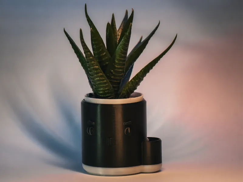 Cute Self watering Pot