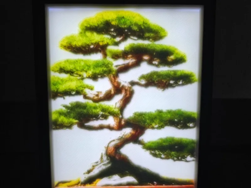 Bonsai Light Box 