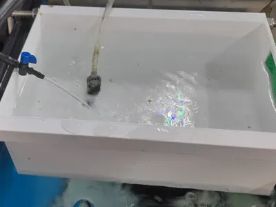 Fry Box V1.0 (WIP!)