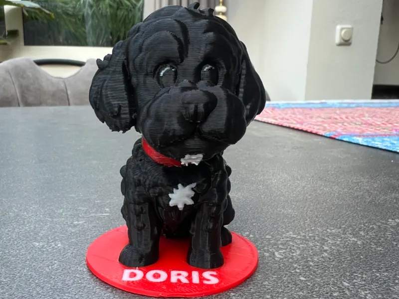 Labradoodle pupply