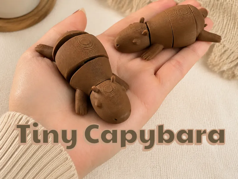 Tiny Capybara