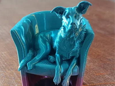 Oops on armchair